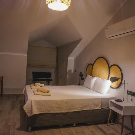 Villa Pelit - 4 Yatak Odalı Saunalı Havuzlu